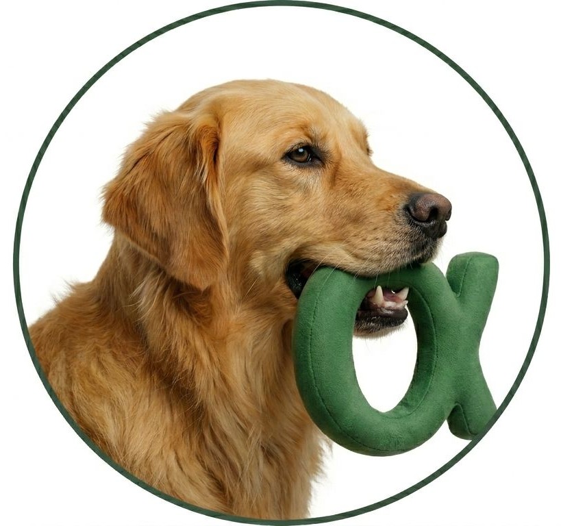 Charlie Logo